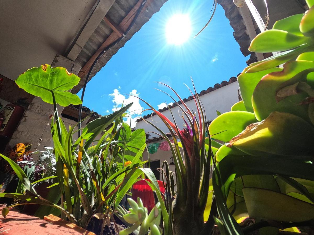 Hostal Posada Mi Casa San Cristobal de las Casas Ngoại thất bức ảnh