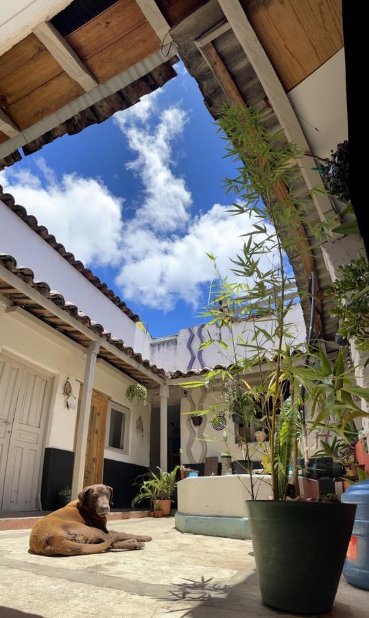 Hostal Posada Mi Casa San Cristobal de las Casas Ngoại thất bức ảnh